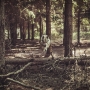 sympathy for the unusual - 2012-21